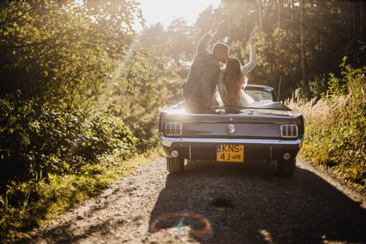 Plener Ślubny - 40 naszych ulubionych zdjęć 11 sesja slubna plener slubny 39