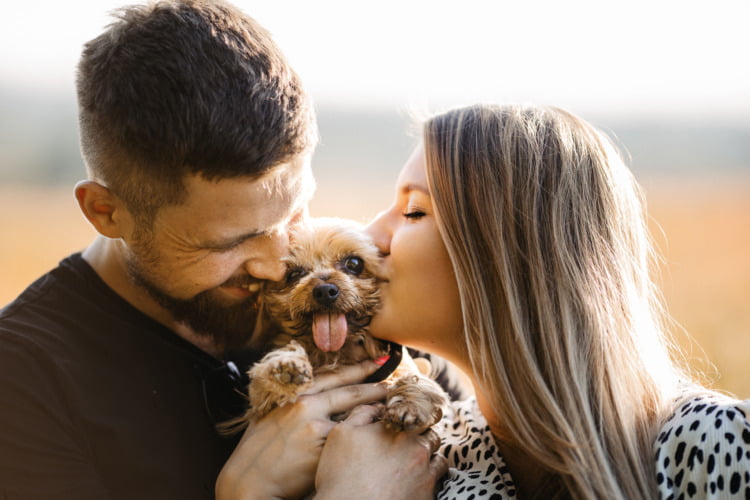 sesja ciazowa katowice 10