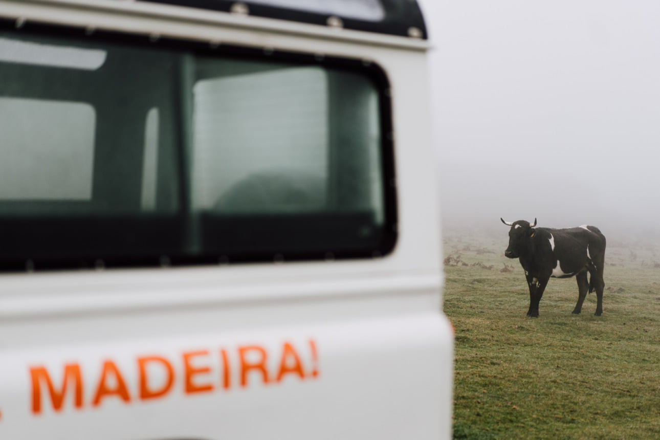 WSPÓŁPRACA 35 DTT 14