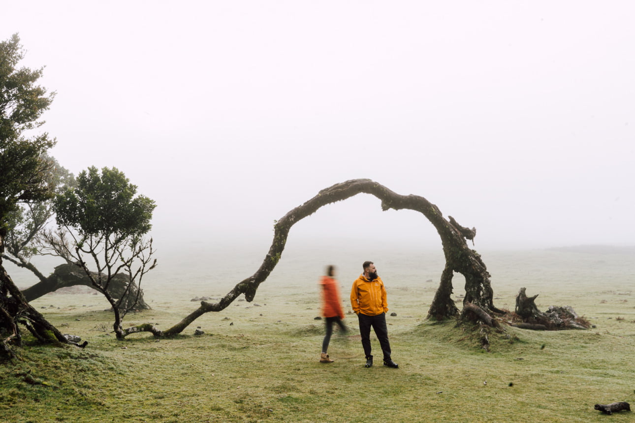 WSPÓŁPRACA 37 DTT 15