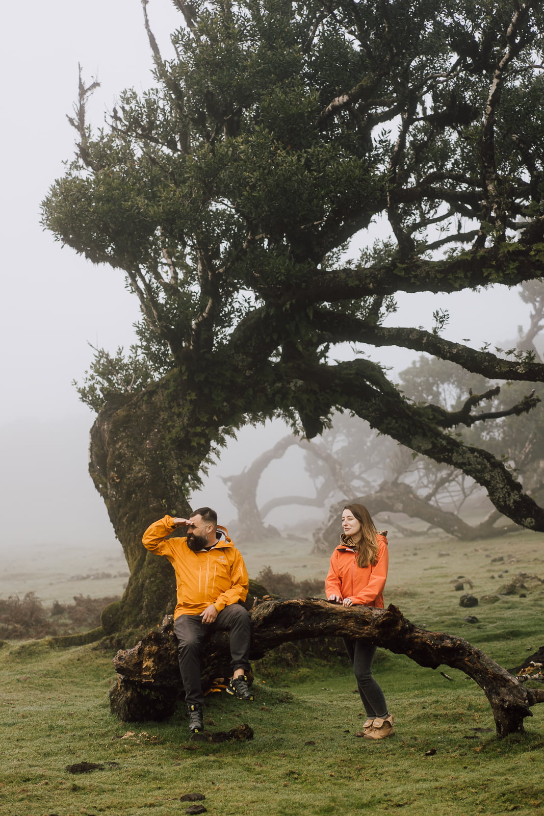 WSPÓŁPRACA 33 DTT 17