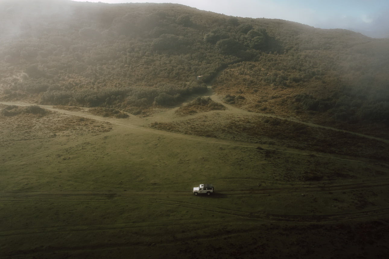 WSPÓŁPRACA 40 DTT 20