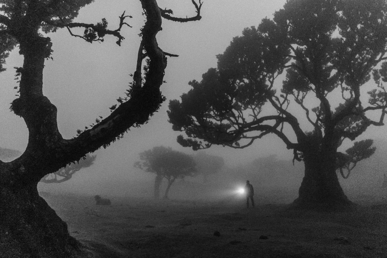 WSPÓŁPRACA 27 bw 04