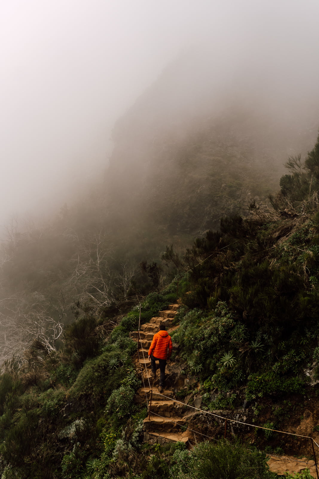 WSPÓŁPRACA 50 gth 13