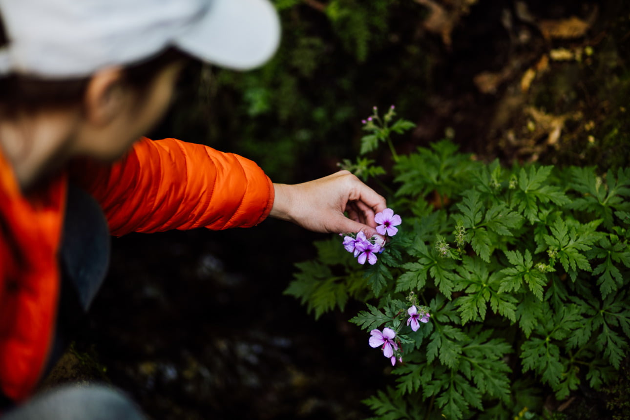 WSPÓŁPRACA 45 gth 14