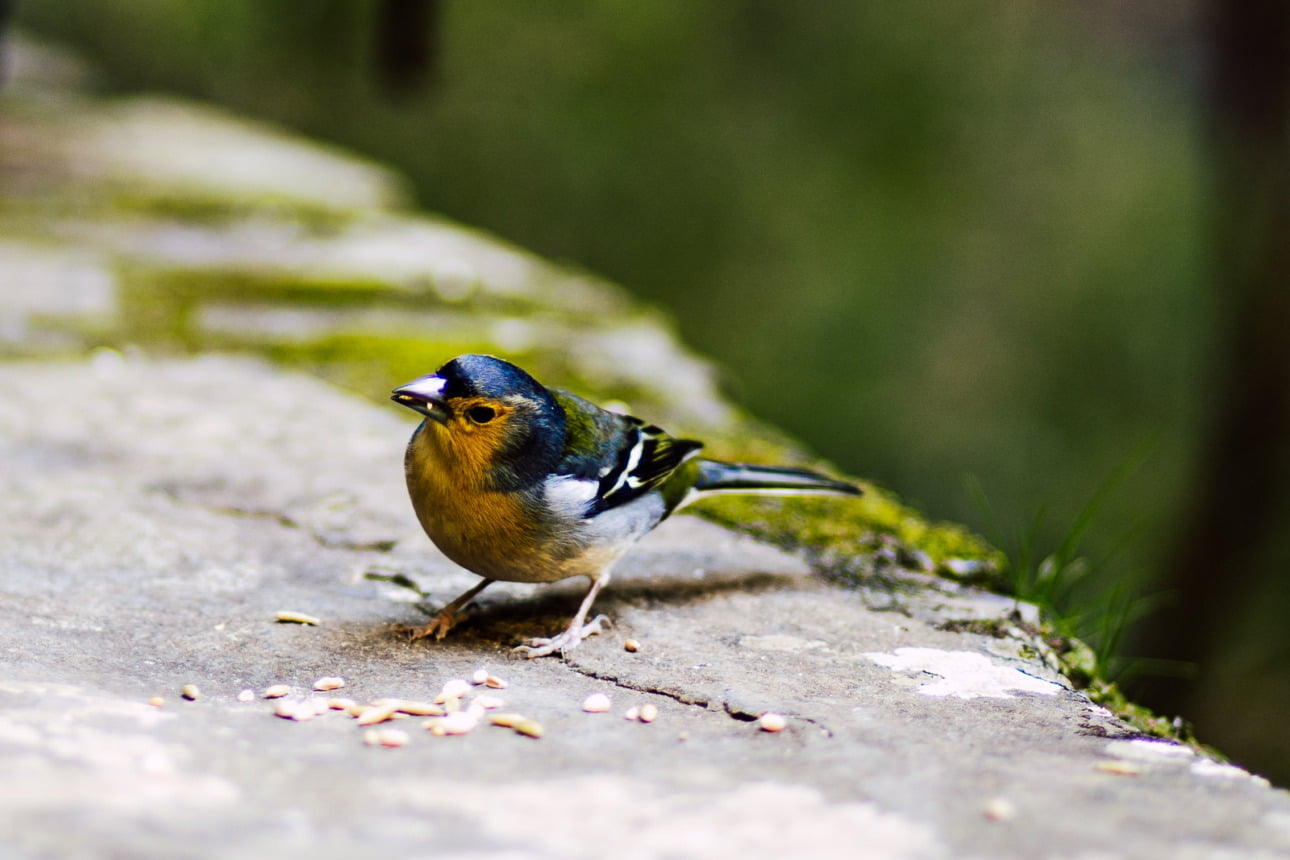 WSPÓŁPRACA 49 gth 18