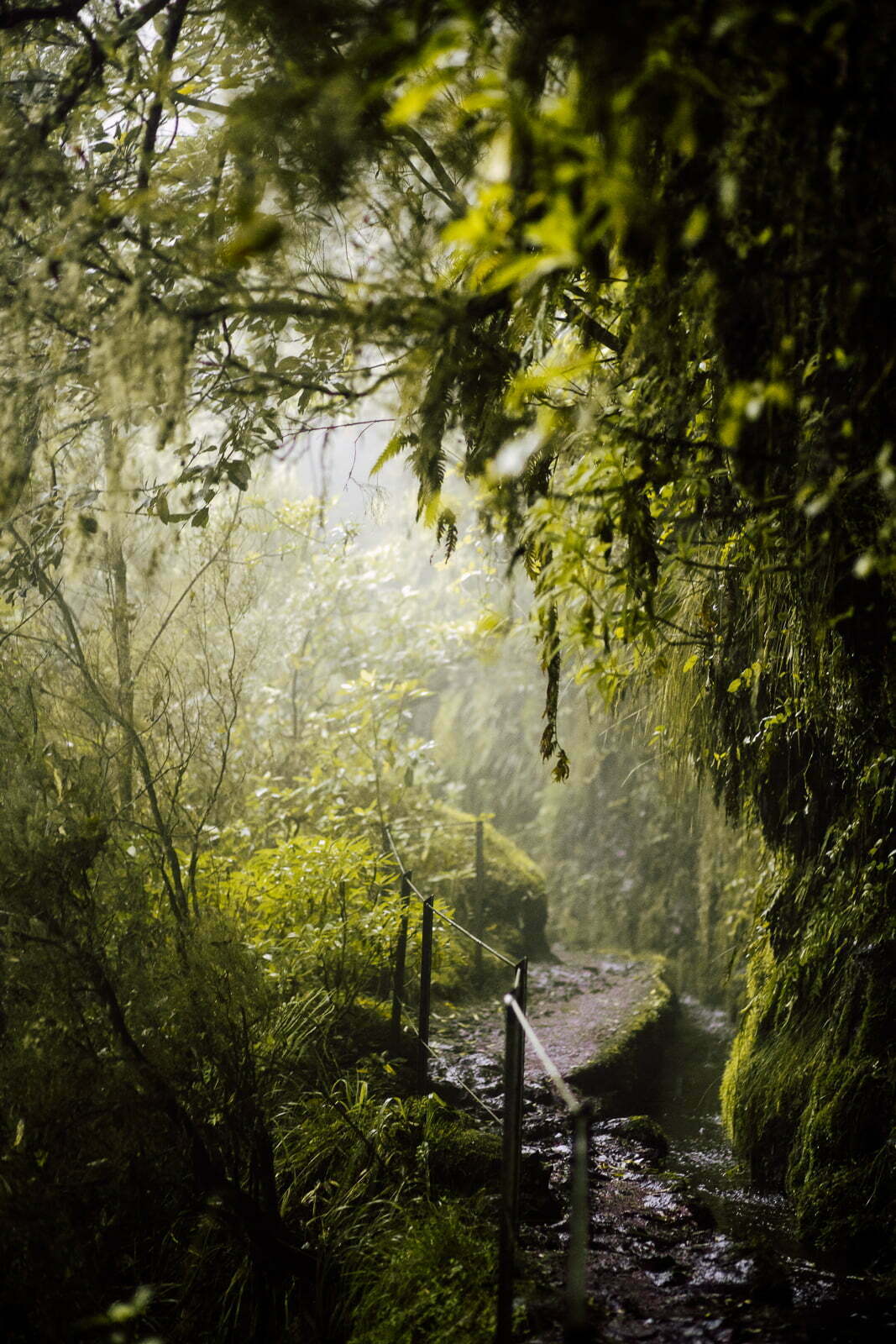 WSPÓŁPRACA 6 krajobraz 04