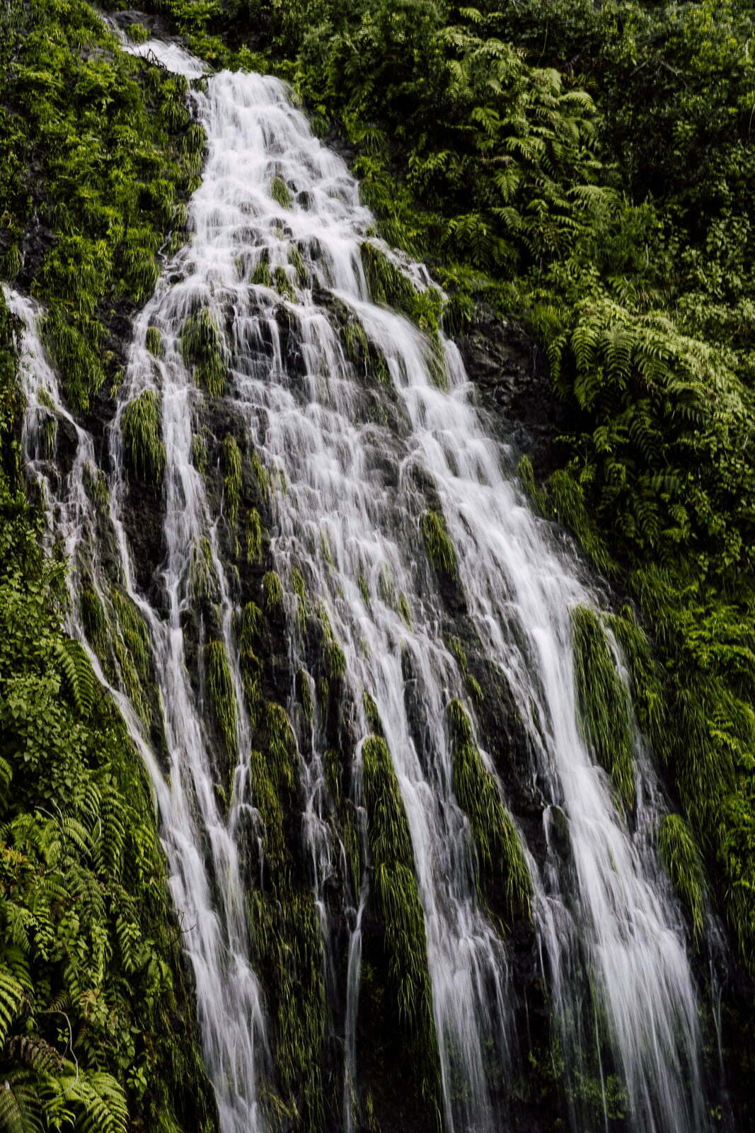 WSPÓŁPRACA 11 krajobraz 08