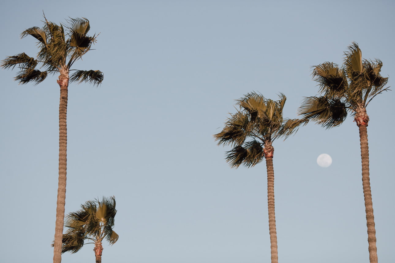 WSPÓŁPRACA 7 krajobraz 12